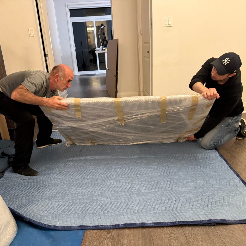 moving company professionals
