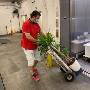 movers navigating elevator