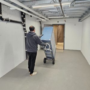 movers bringing furniture to truck