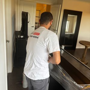 home moving packers