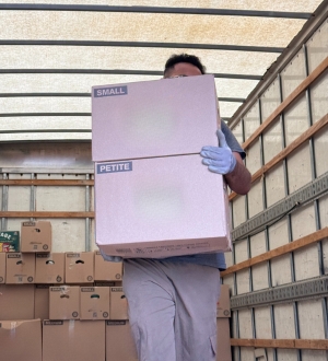 packing services