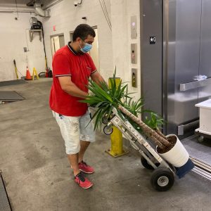 office mover putting items on trolley