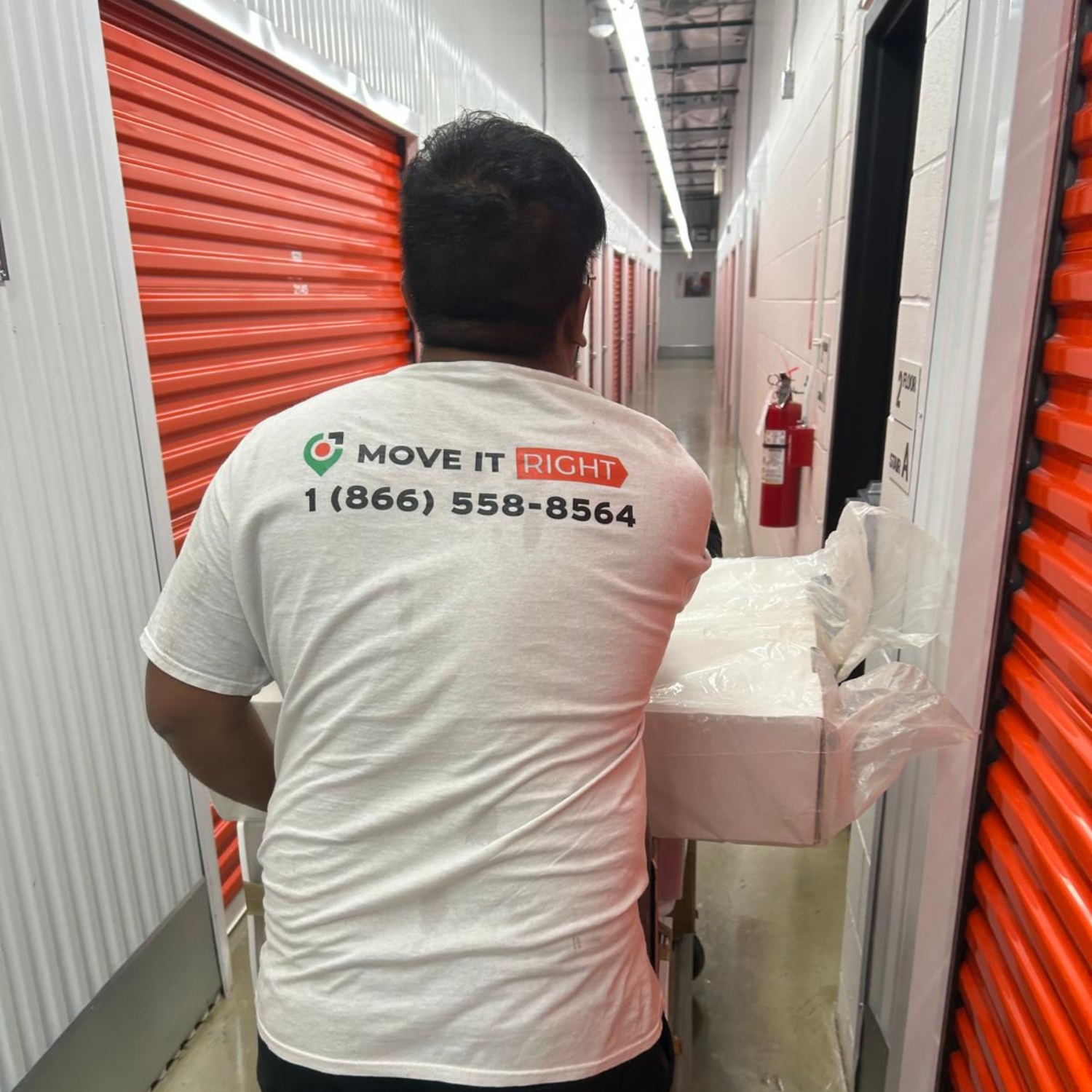 moving services whitby