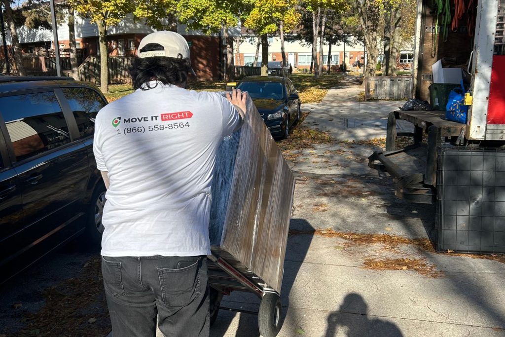 professional moving company