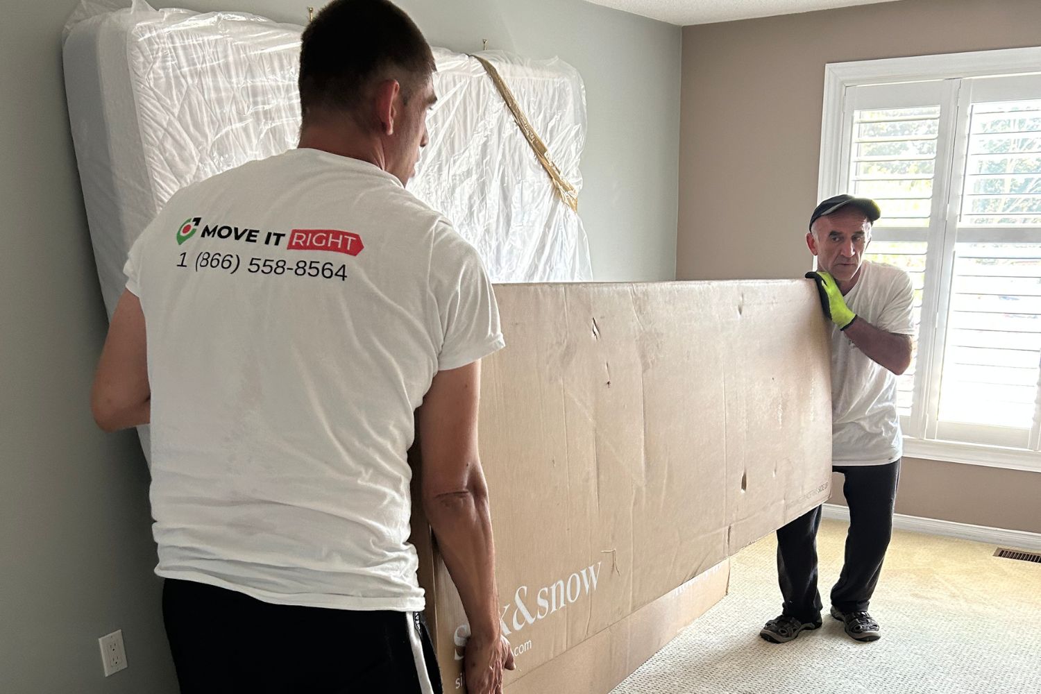 moving day strategies